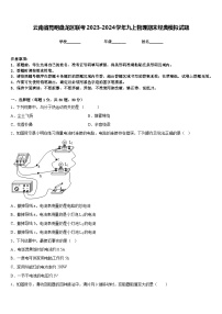 云南省昆明盘龙区联考2023-2024学年九上物理期末经典模拟试题含答案