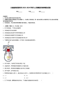 云南省西双版纳市2023-2024学年九上物理期末调研模拟试题含答案