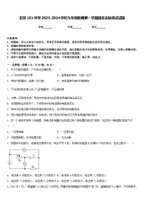 北京101中学2023-2024学年九年级物理第一学期期末达标测试试题含答案