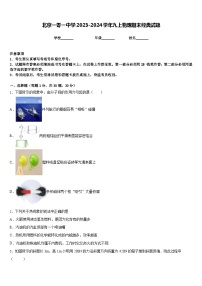 北京一零一中学2023-2024学年九上物理期末经典试题含答案