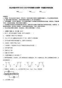 凉山市重点中学2023-2024学年物理九年级第一学期期末预测试题含答案