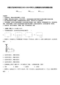 内蒙古巴彦淖尔市名校2023-2024学年九上物理期末达标检测模拟试题含答案