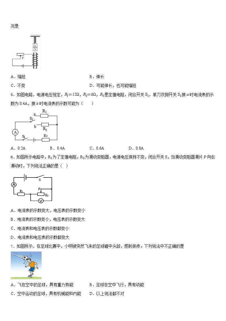 内蒙古通辽市开鲁县2023-2024学年物理九上期末达标检测试题含答案第2页