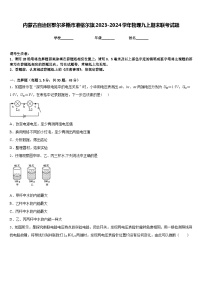 内蒙古自治区鄂尔多斯市准格尔旗2023-2024学年物理九上期末联考试题含答案