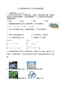 山东省宁津县大赵中学2022-2023学年度第一学期第一次月考8年级物理试题及答案