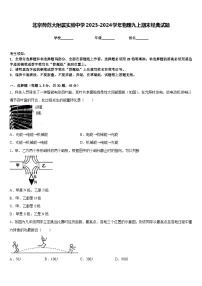 北京师范大附属实验中学2023-2024学年物理九上期末经典试题含答案