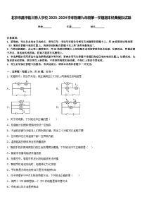 北京市昌平临川育人学校2023-2024学年物理九年级第一学期期末经典模拟试题含答案