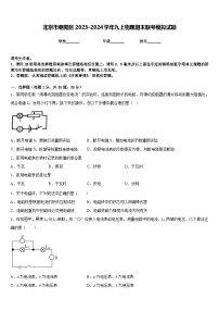 北京市朝阳区2023-2024学年九上物理期末联考模拟试题含答案