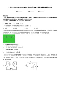 北京市大兴区2023-2024学年物理九年级第一学期期末统考模拟试题含答案