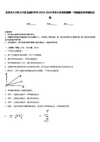 北京市大兴区大兴区北臧村中学2023-2024学年九年级物理第一学期期末统考模拟试题含答案