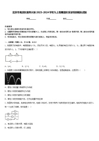 北京市海淀区首师大附2023-2024学年九上物理期末质量检测模拟试题含答案