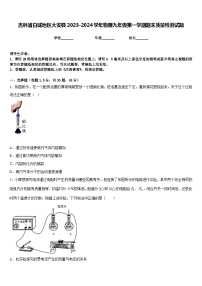 吉林省白城地区大安县2023-2024学年物理九年级第一学期期末质量检测试题含答案