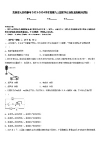 吉林省大安县联考2023-2024学年物理九上期末学业质量监测模拟试题含答案