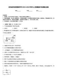 吉林省农安县普通中学2023-2024学年九上物理期末考试模拟试题含答案