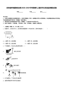 吉林省伊通满族自治县2023-2024学年物理九上期末学业质量监测模拟试题含答案