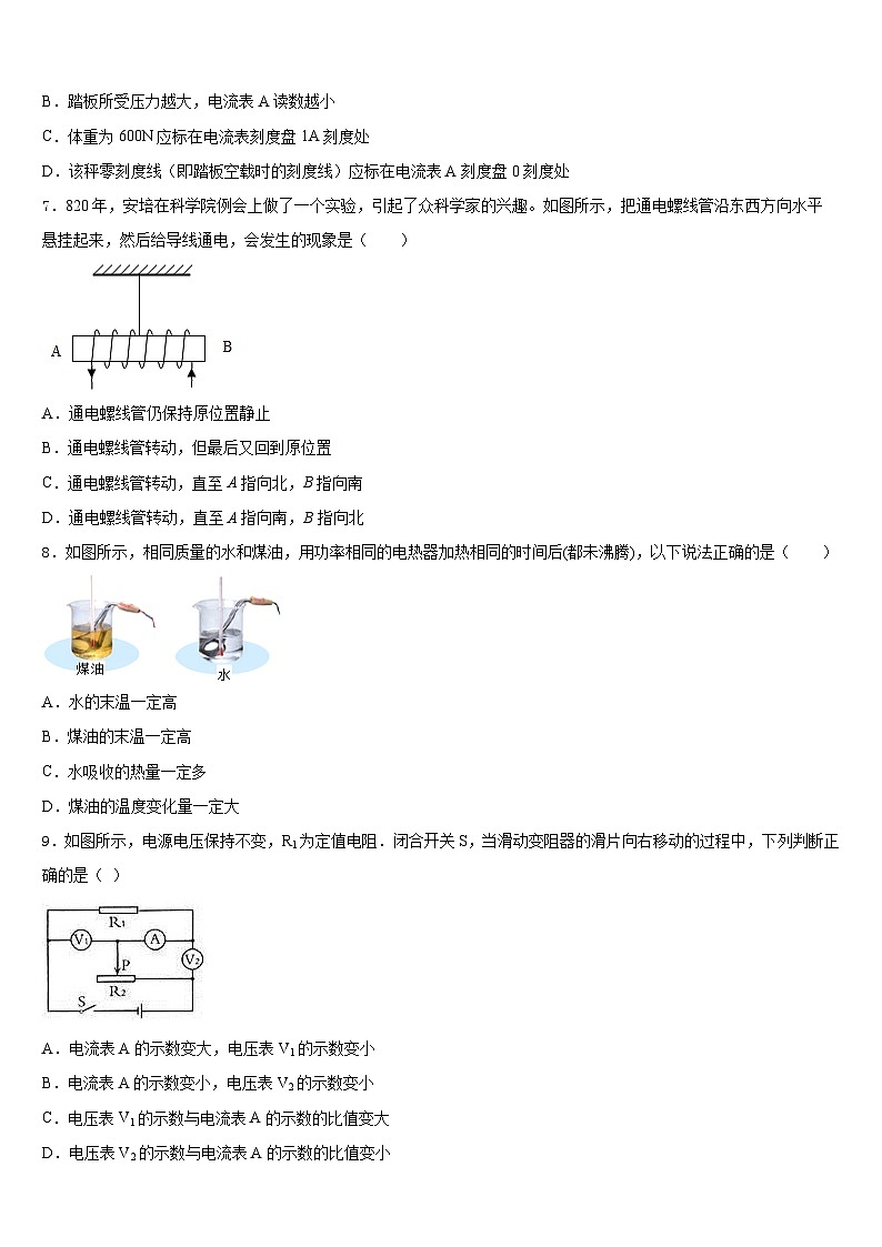 吉林省松原市宁江区第四中学2023-2024学年物理九年级第一学期期末质量检测模拟试题含答案第3页
