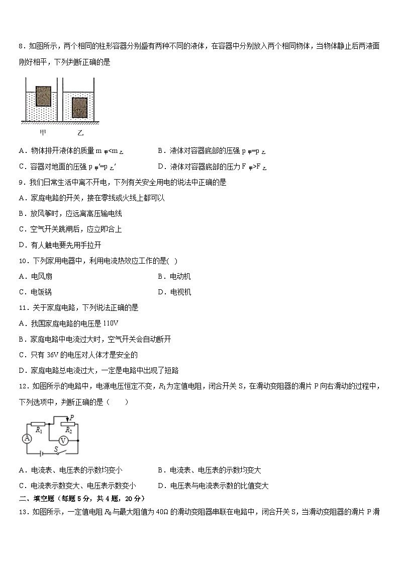 哈尔滨松北区七校联考2023-2024学年九年级物理第一学期期末学业质量监测试题含答案第3页