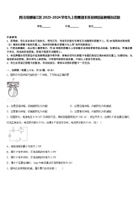 四川成都锦江区2023-2024学年九上物理期末质量跟踪监视模拟试题含答案