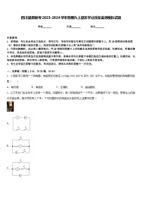 四川渠县联考2023-2024学年物理九上期末学业质量监测模拟试题含答案