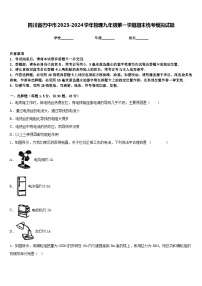 四川省巴中市2023-2024学年物理九年级第一学期期末统考模拟试题含答案