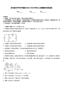 四川省巴中学市平昌县2023-2024学年九上物理期末检测试题含答案