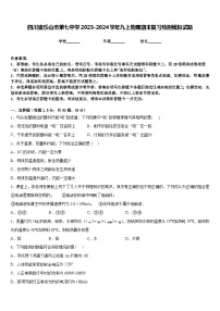 四川省乐山市第七中学2023-2024学年九上物理期末复习检测模拟试题含答案