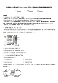 四川省南充市第九中学2023-2024学年九上物理期末质量跟踪监视模拟试题含答案