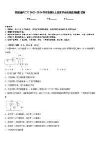 四川省内江市2023-2024学年物理九上期末学业质量监测模拟试题含答案