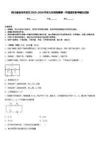 四川省宜宾市名校2023-2024学年九年级物理第一学期期末联考模拟试题含答案