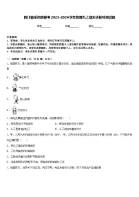 四川省岳池县联考2023-2024学年物理九上期末达标检测试题含答案