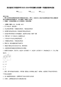 四川省内江市球溪中学2023-2024学年物理九年级第一学期期末联考试题含答案