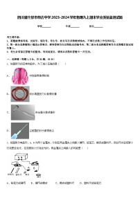 四川省什邡市师古中学2023-2024学年物理九上期末学业质量监测试题含答案