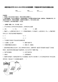 咸阳市重点中学2023-2024学年九年级物理第一学期期末教学质量检测模拟试题含答案