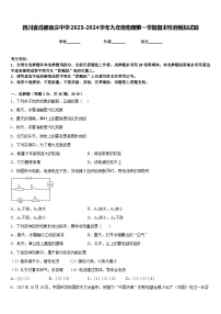 四川省成都崇庆中学2023-2024学年九年级物理第一学期期末检测模拟试题含答案