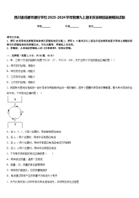 四川省成都市部分学校2023-2024学年物理九上期末质量跟踪监视模拟试题含答案