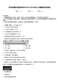 四川省成都市高新实验中学2023-2024学年九上物理期末检测试题含答案