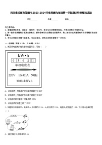 四川省成都市简阳市2023-2024学年物理九年级第一学期期末检测模拟试题含答案