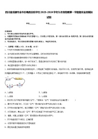 四川省成都市金牛区蜀西实验学校2023-2024学年九年级物理第一学期期末监测模拟试题含答案