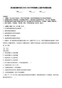 四川省成都市名校2023-2024学年物理九上期末考试模拟试题含答案