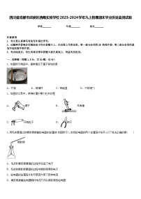 四川省成都市武侯区西蜀实验学校2023-2024学年九上物理期末学业质量监测试题含答案