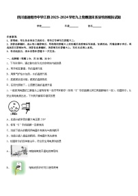 四川省德阳市中学江县2023-2024学年九上物理期末质量检测模拟试题含答案