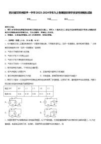 四川省甘孜州道孚一中学2023-2024学年九上物理期末教学质量检测模拟试题含答案