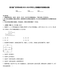 四川省广安市邻水县2023-2024学年九上物理期末检测模拟试题含答案