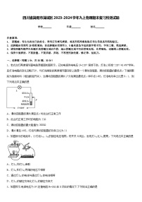 四川省简阳市简城区2023-2024学年九上物理期末复习检测试题含答案