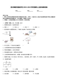 四川绵阳外国语学校2023-2024学年物理九上期末调研试题含答案