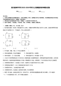 四川省阆中学市2023-2024学年九上物理期末联考模拟试题含答案