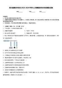 四川省雅安市名校2023-2024学年九上物理期末综合测试模拟试题含答案