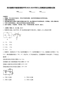 四川省雅安市雨城区雅安中学2023-2024学年九上物理期末监测模拟试题含答案