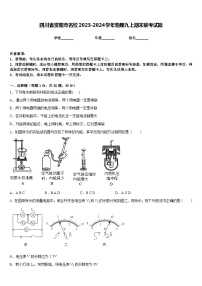 四川省资阳市名校2023-2024学年物理九上期末联考试题含答案