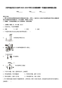 天津市南开区天大附中2023-2024学年九年级物理第一学期期末调研模拟试题含答案